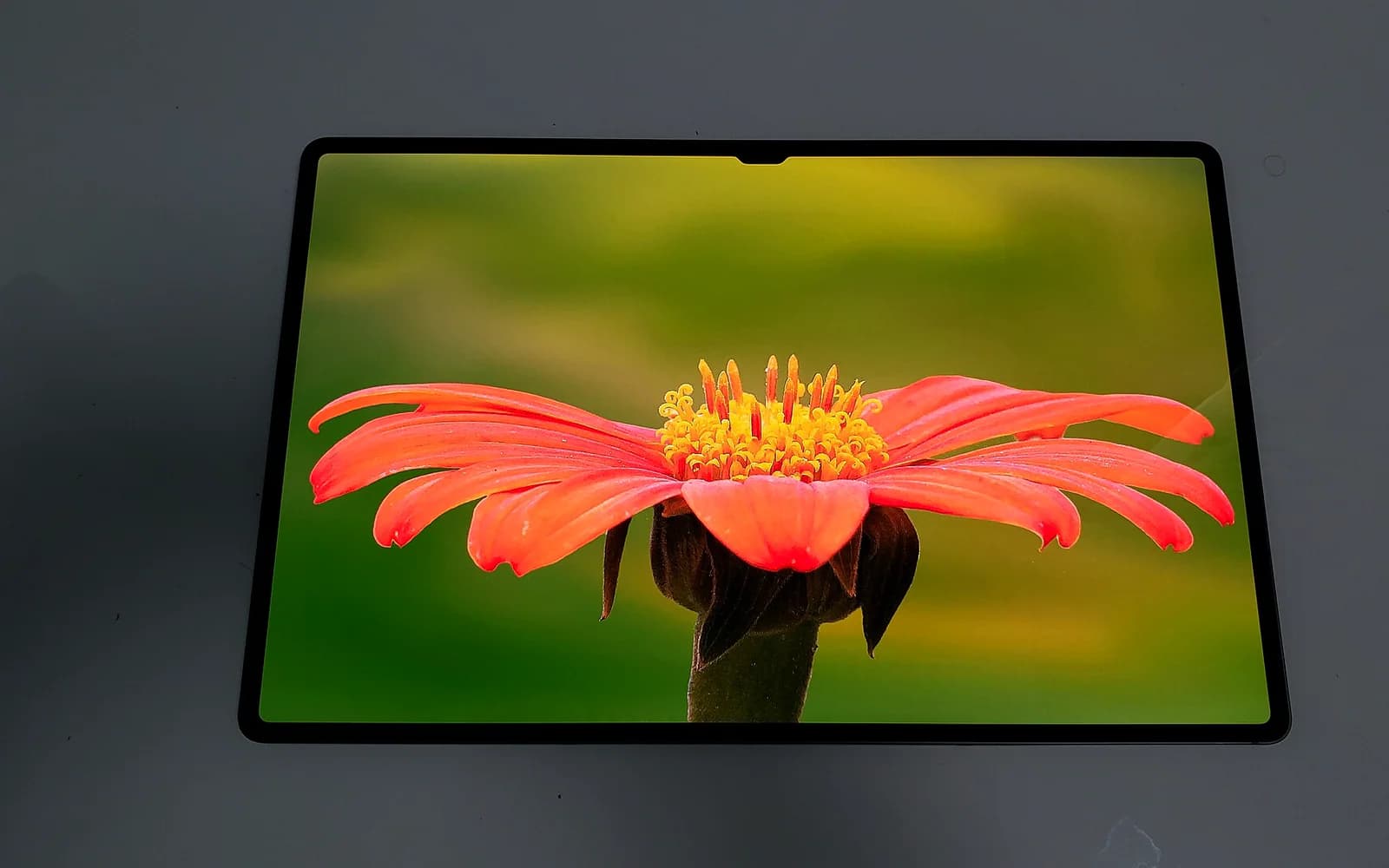 Photo from Wikimedia Commons: Samsung Galaxy Tab S8 Ultra.